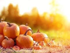 오랜만이에요. 우리 수상한 이웃들!