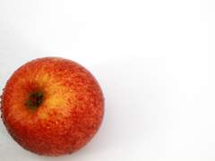 로그 정리+후기