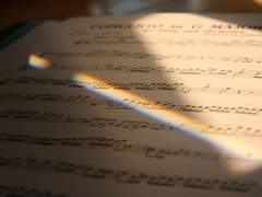 [ Salvia S. Mezzoforte / Gryffindor ]