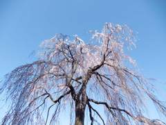 그의 손이 닿는 거리에 7