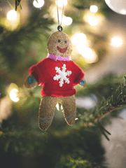 The Little Gingerbread Woman