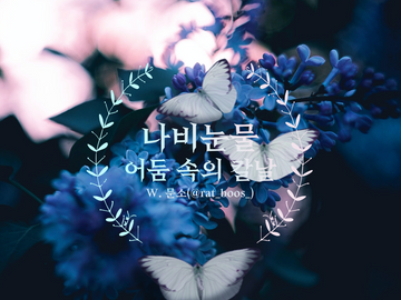 건수: 나비눈물