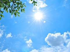 [도눙] 영원한 여름