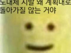 다만 내가 결코 알 수 없는 것