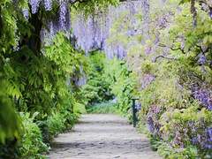 주용서 프로필 ㅡ 1부