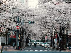 질투는 나의 힘 上