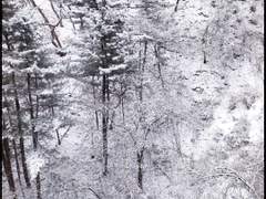 [시화노을] 눈이 내리는 소리