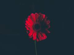 인간이란 모순적이네요.