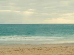 [조로산] 우리 시대 최후의 낭만주의자