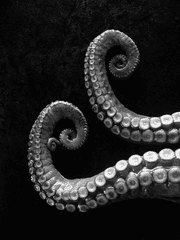 Tentacles and hands. [BL]