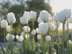 헤픈 가이드 完