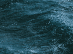 죽어가는 인어의 사랑은