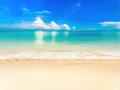 인간의 탐욕 (종타르/타르종려)