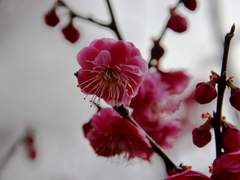 이것이 우리가 걸을 길이다