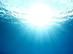 죽어가는 인어의 사랑은