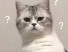 우리는 아방수가 이기는 세계관에 살고 있다.++