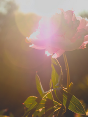 --세계에 어서오세요.