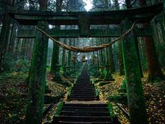 [도만구다] 에우리디케는 뒤돌아보지 않는다 中