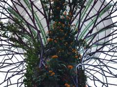 신을 가두려는 자는 얼마나 오만한가?