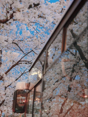 첫사랑 알러지 극복일기