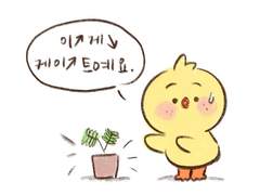 이게케이트예요