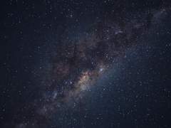 Chapter -4 Episode 제 2의 시간선 (3/ 22/ 29/ 38/ 100%)