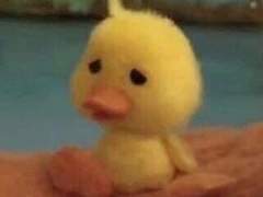 어쩌다보니 드래곤 마스터 9