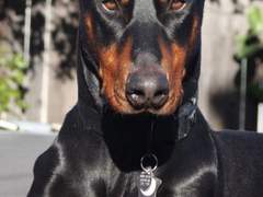 폭력적인 가정환경에서 자란 여자들의 남성성에 대한 팁