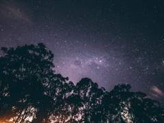 [Fate] 당신과 가시나무와 운명의 밤