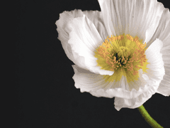 ■■ ■■ ■■ 아이에게