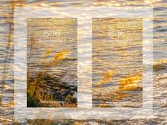 금빛으로 물든 시간