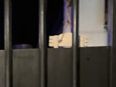 자일 후기…자일의 모든 것