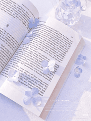 가디언 : 세상을 무너뜨릴 구원자