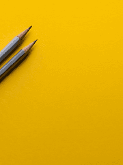 맛으로 보는 세상