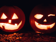 트릭 오어 트릿!