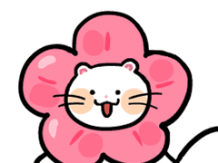 백아 스티커 배포