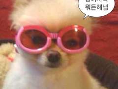 갓생 사는 방법