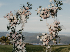 질투, 강아지 그리고 결혼기념일上