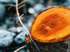 [금영영인] 어떻게 할까요