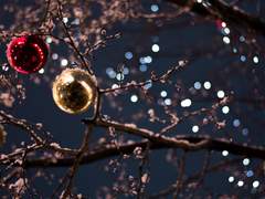 재즈란 말이죠-