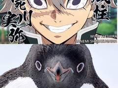 사네카나/하쿠코유(를 가장한 헤테로) 교류회 후기