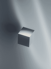 미친X이 사랑한 펭귄