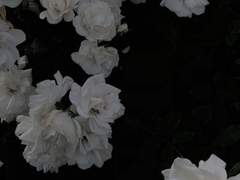 서야 / XX / 301호