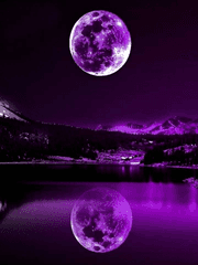 스타투 조각 모음