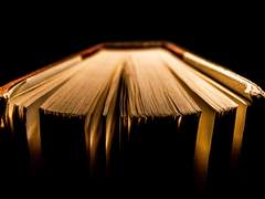 -- 번째 약초학 도서