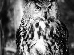 장난감이 망가져 버렸어!