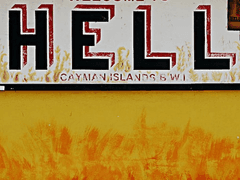 대학생이 논문이요?