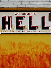 대학생 분풀이 모음집