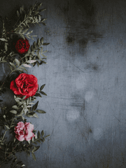 드림 프로필 + 과록