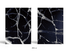 Sold out. 성유축성
